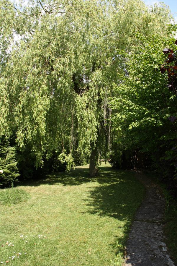 Bures-sur-Yvette Le Cottage - Chambres D'Hotes Paris Saclay المظهر الخارجي الصورة